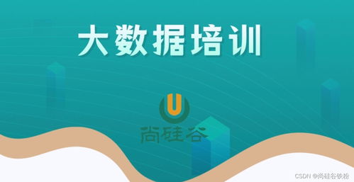 零基礎入門大數(shù)據(jù)開發(fā)技術 從構建知識體系到實戰(zhàn)的完整路徑